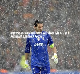 欧博官网-格拉纳达高原雄鹰迎战比利牛斯山脉勇士 西乙升级附加赛上演巅峰实力对决