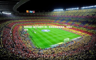 欧博官网-.帕尔马梅开二度，表现获得媒体赞扬，帕梅尔运动