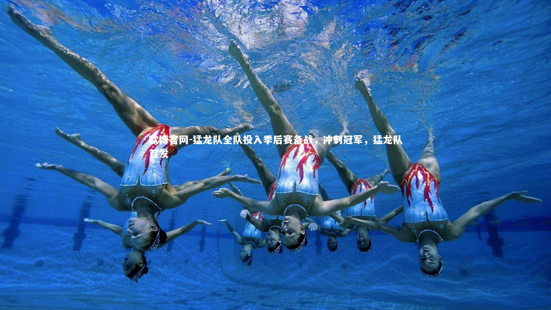 欧博官网-猛龙队全队投入季后赛备战，冲刺冠军，猛龙队首发-第1张图片-欧博官网