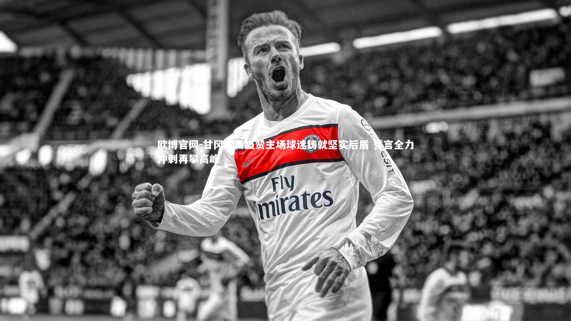 欧博官网-甘冈球员盛赞主场球迷铸就坚实后盾 誓言全力冲刺再攀高峰-第2张图片-欧博官网