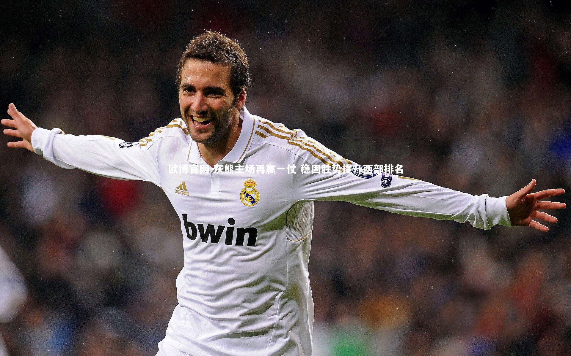 欧博官网-灰熊主场再赢一仗 稳固胜势提升西部排名-第2张图片-欧博官网