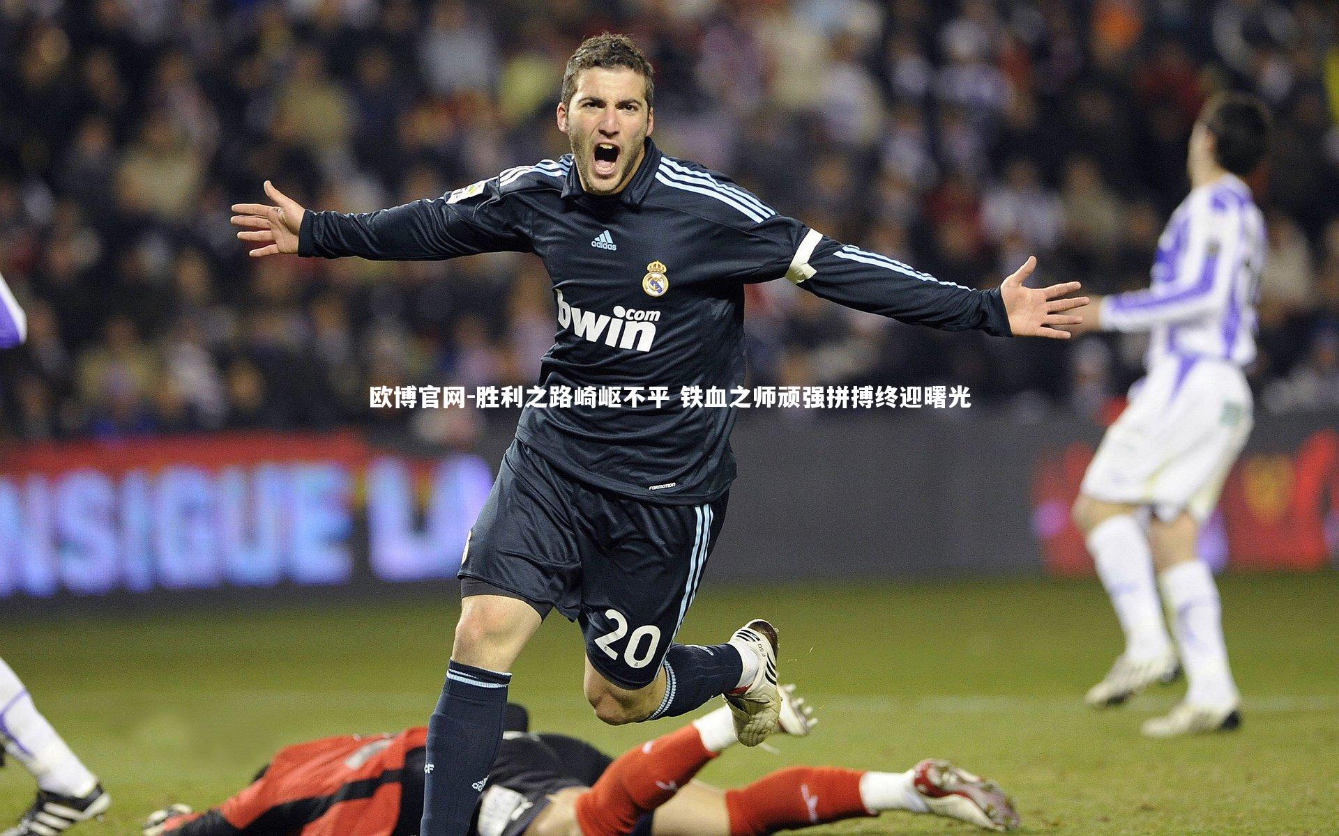 欧博官网-胜利之路崎岖不平 铁血之师顽强拼搏终迎曙光-第1张图片-欧博官网